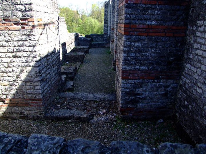 2011_08090392