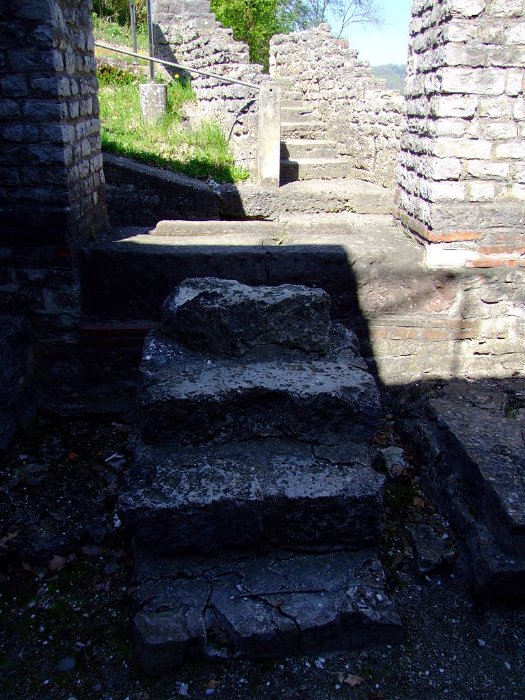 2011_08090395