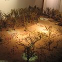img_8441