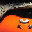 img_8573